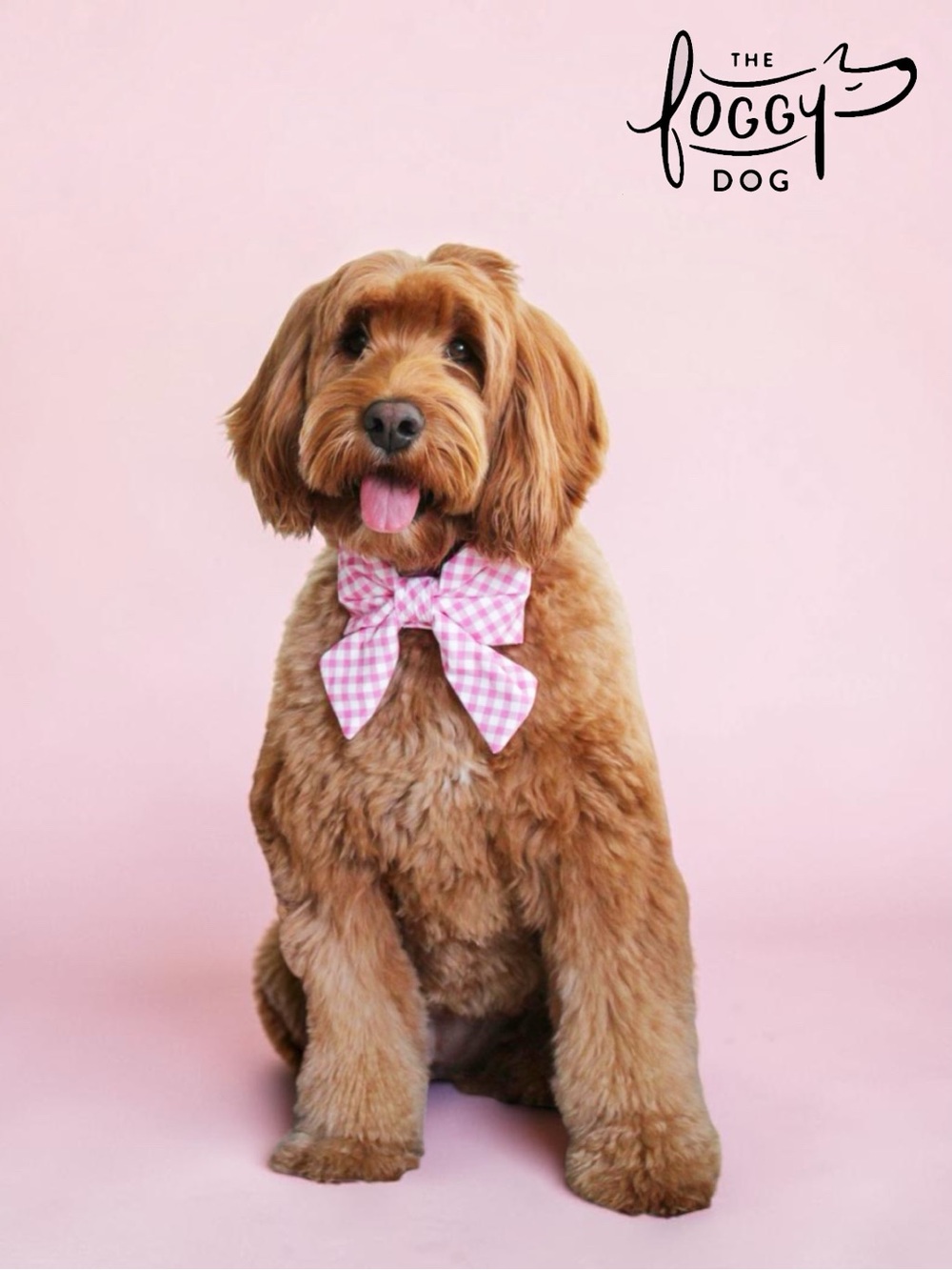 The Foggy Dog ‘Pink Gingham’ Lady Bow Dog Collar